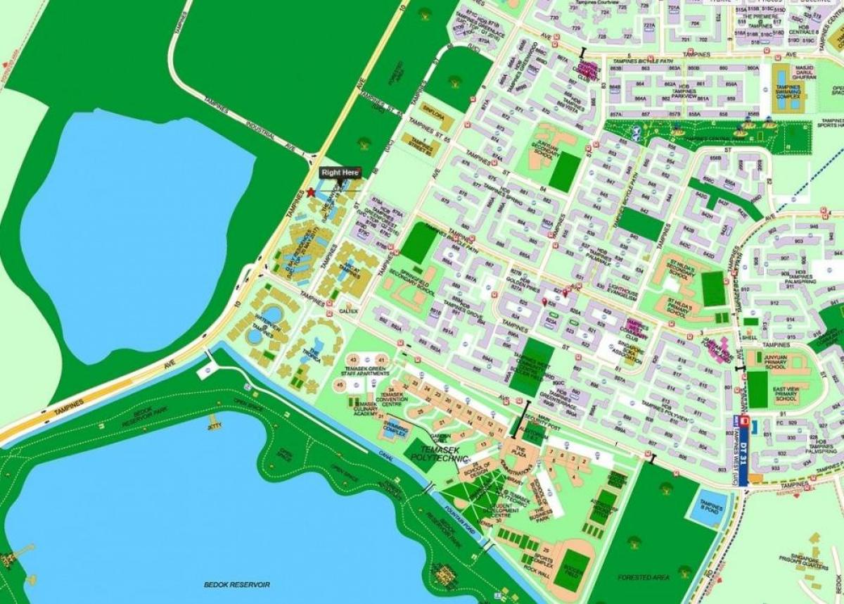 karta över Singapore tampines