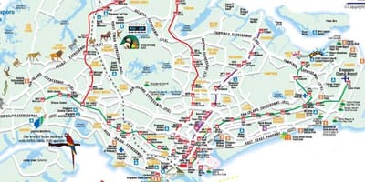 Road map of Singapore